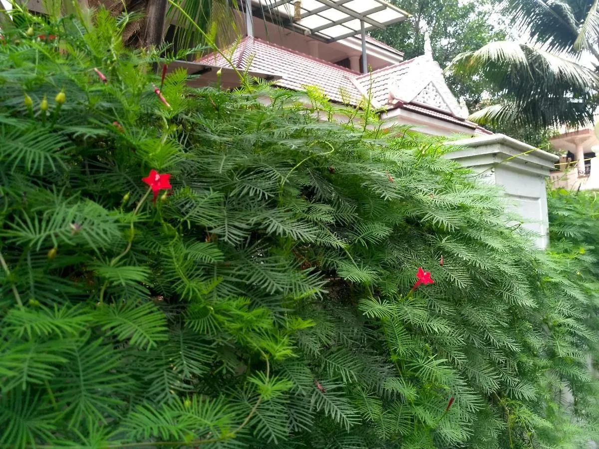Ocean Stay Nedumbassery Homestay