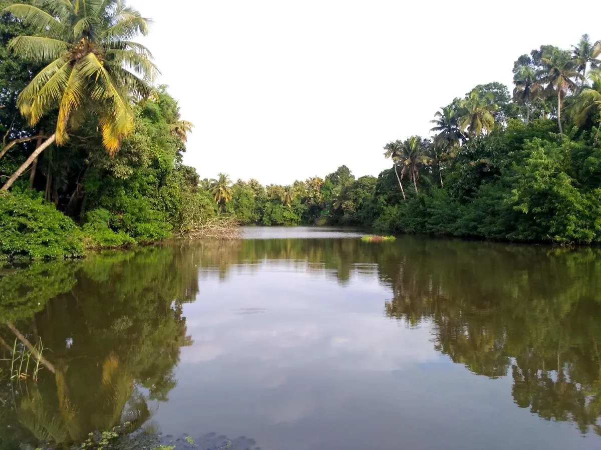 Homestay Ocean Stay Nedumbassery